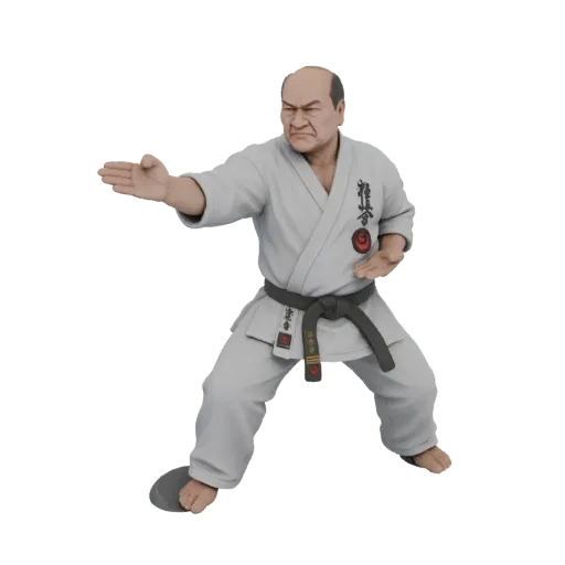 3D model of a Karate Master in a defensive stance, wearing a white gi and dark belt, with a stern expression.