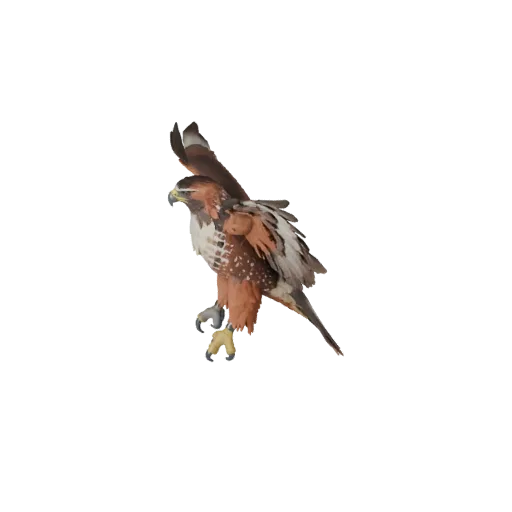 Modelo STL de Falcão-de-cauda-vermelha High Poly, vista de exibição isométrica, figura animal pronta para impressão com direç