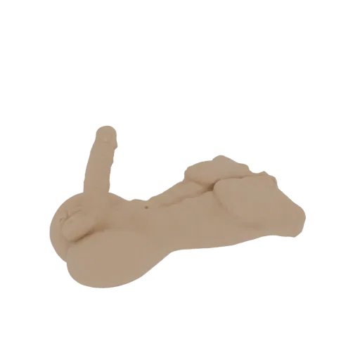 3D model of a realistic human torso and pelvis, presented in a neutral pose with a skin-like texture.