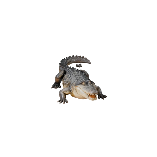 Krokodil 3D Modell für Blender - PBR Asset mit Texturen | PBR
