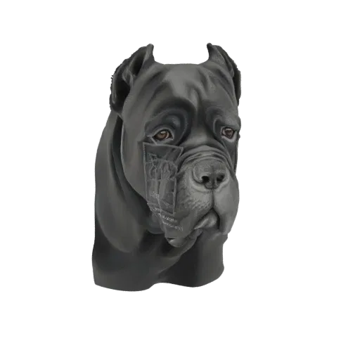 3D model of a Cane Corso dog's head, rendered with a dark gray, stone-like texture, showcasing its muscular features and inte