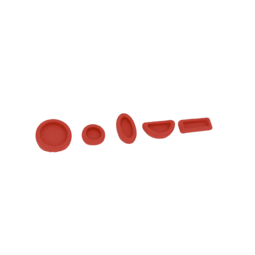 Red Blood Cell Models