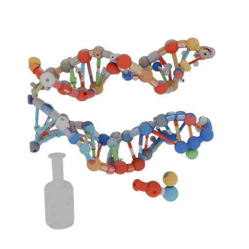 Protein DNA Helix Education 3D model, three-quarter training render, showing colored spheres, molecule layout.
