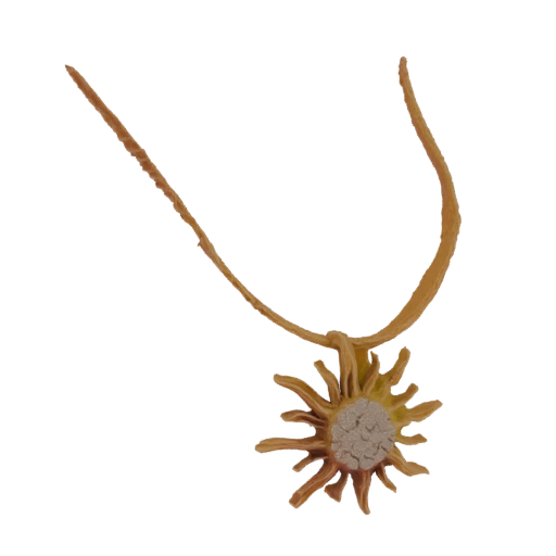 Sun Pendant Necklace