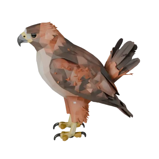 Modèle 3D Faucon à queue rouge Low Poly, vue de côté caméra de jeu, asset animal low-poly avec rupture d'éventail de queue, c