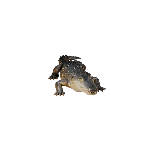 Low Poly Kaiman 3D-Modell, Gameplay-Kamera-Seitenansicht, Low-Poly-Tier-Asset mit Plattenmustern, Augenwülsten, Klauenspitzen