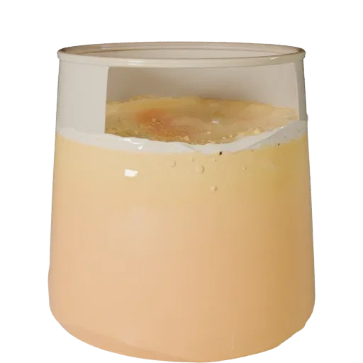 Sparkling Juice Glass High Poly 3D model, close-up studio render, showing glass, container shape.