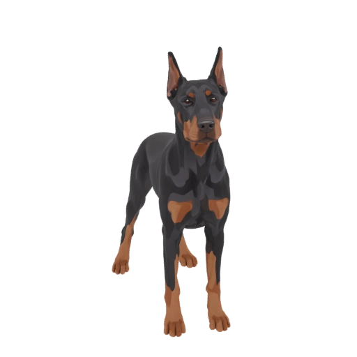 Doberman Pinscher 3D Model
