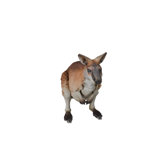 Wallaby Realista 3D Model - Asset PBR Rigged para Jogos | PBR