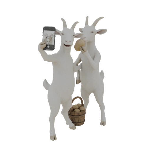 Goats Taking a Selfie with Potatoes