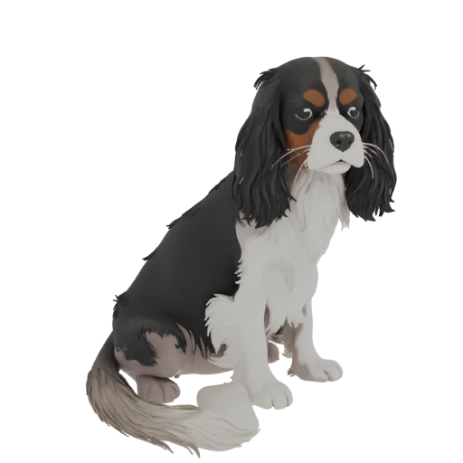 Cavalier King Charles Spaniel Sitting 3D Model