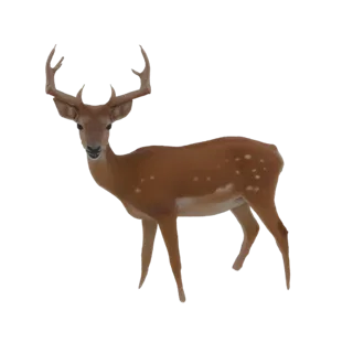 A 3D render of a spotted deer with large antlers, standing alert on a white background.