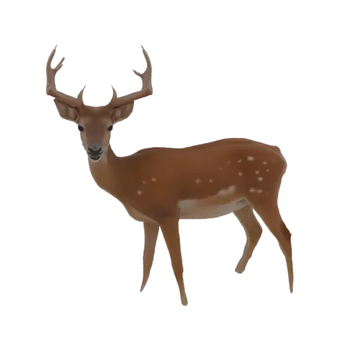 Uma renderização 3D de um veado malhado com grandes galhadas, em pé alerta sobre um fundo branco.