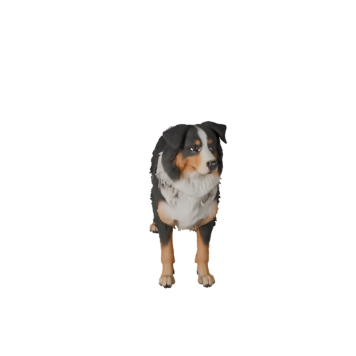 Modelo 3D de Pastor Australiano para Unidad - Asset Listo para Juego, FBX