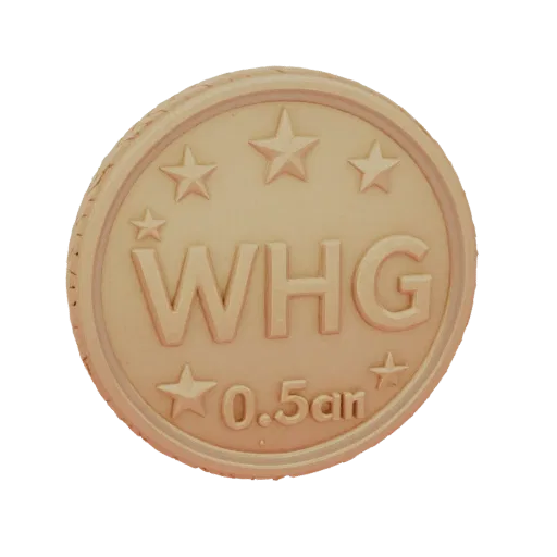 3D model of gold coin WHG 0.5an with four stars, front view, on black background