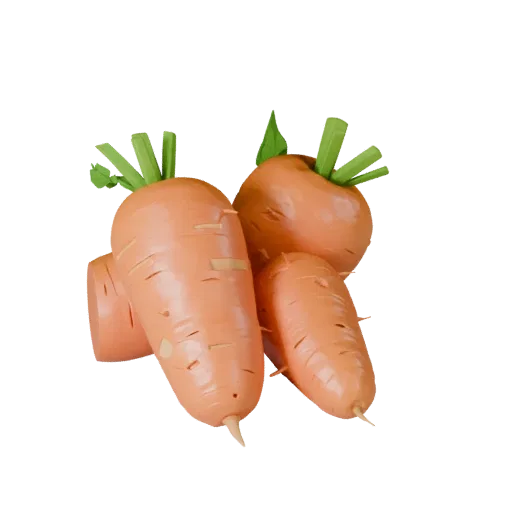 Organic Carrot Bunch High Poly 3D model, close-up studio render, showing leaf veins, clear vegetable silhouettes.