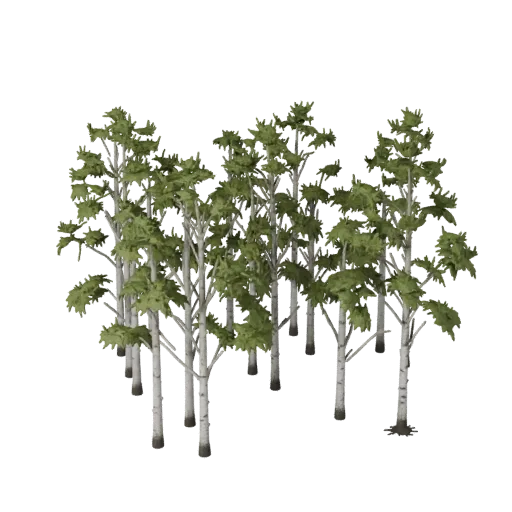 Modèle 3D stylisé d'Ensemble de bosquet de bouleaux, rendu d'environnement stylisé isométrique, montrant les amas de feuilles