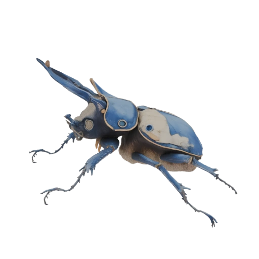 Blue Rhinoceros Beetle