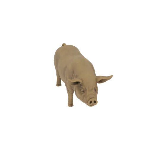 Ein realistisches 3D-Modell eines hellbraunen Schweins, von leicht erhöhter Front-Rechts-Ansicht, mit gesenktem Kopf.