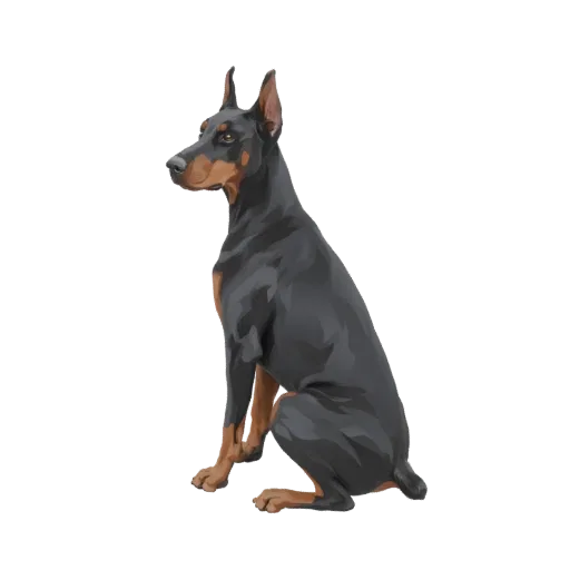 3D model of a Doberman Pinscher dog sitting attentively, showcasing its black and tan coat and alert posture.