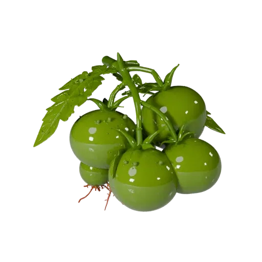 Garden Tomato Cluster 3D model, three-quarter front view, AR viewer studio render, showing leaf veins, form detail.