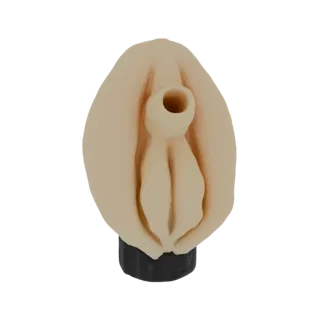 3D model of anatomical female genitalia, showing detailed labial and clitoral structures, mounted on a black base.
