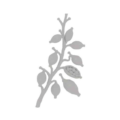 Un modello 3D di un ramo botanico grigio chiaro con diverse capsule di semi, una delle quali è aperta rivelando piccoli semi