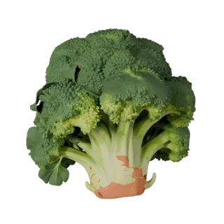 Organic Broccoli Head Stylized 3D model, stylized isometric render, showing leaf veins, clear vegetable silhouettes.