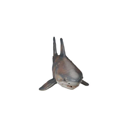 Modèle 3D de Requin Tigre pour Blender - Asset PBR avec Textures