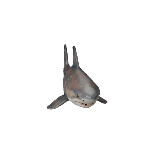 Tiger Shark 3D Model for Blender - PBR Asset with Textures