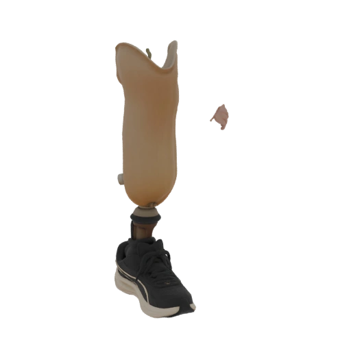 Prosthetic Leg with Sneaker