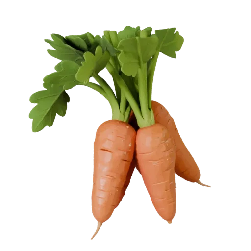 Market Carrot Bunch High Poly 3D model, close-up studio render, showing leaf veins, clear vegetable silhouettes.