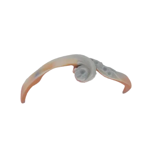 3D model of an abstract sculpture with a dynamic, swirling form in soft peach and gray colors.