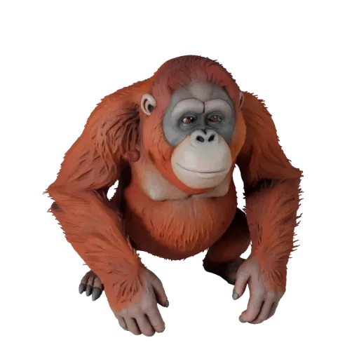 Orangutan 3D Model for Blender - PBR Asset with Textures | PBR