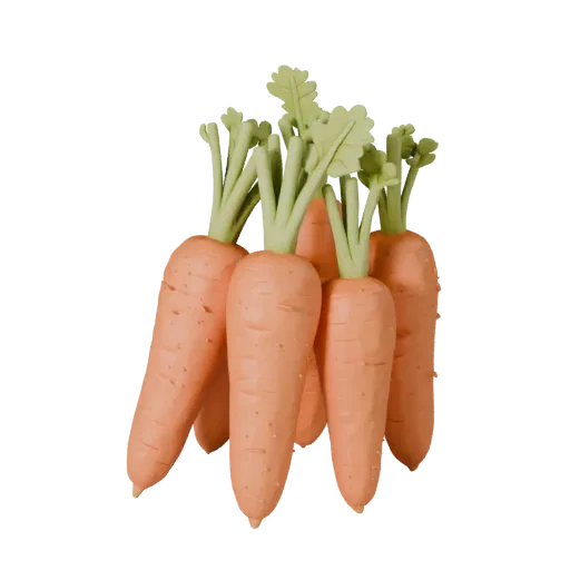 Chopped Carrot Bunch 3D model, three-quarter front view, AR viewer studio render, showing leaf veins, form detail.