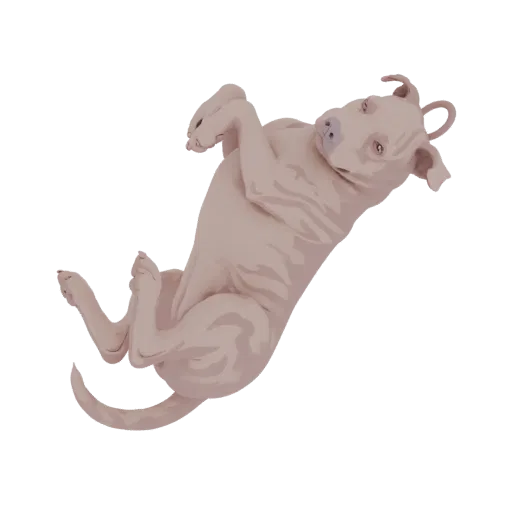 3D model of a light-pink pitbull puppy rolling on its back with paws in the air, against a black background.