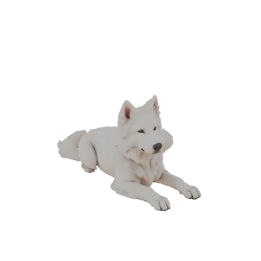 3D model of a white shepherd dog lying down with detailed fluffy fur and a calm expression, viewed from the side.