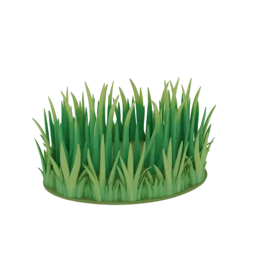A 3D model of a dense, lush green grass patch with varying blade heights and a naturalistic appearance.