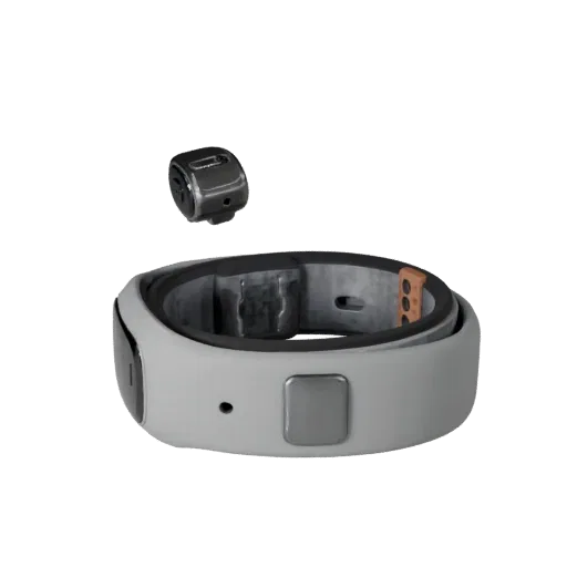 Fitness Style Band Product Viz 3D model, three-quarter studio product render, showing silicone, wearable fit.