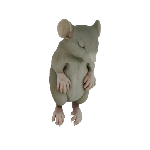 A 3D model render of a small, grey mouse sleeping peacefully with its eyes closed and paws tucked in.