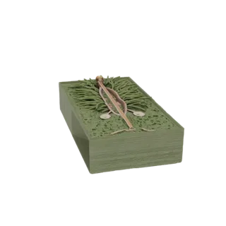 3D isometric cross-section model of an Abies concolor needle, showing internal cellular structure, vascular bundles, and resi