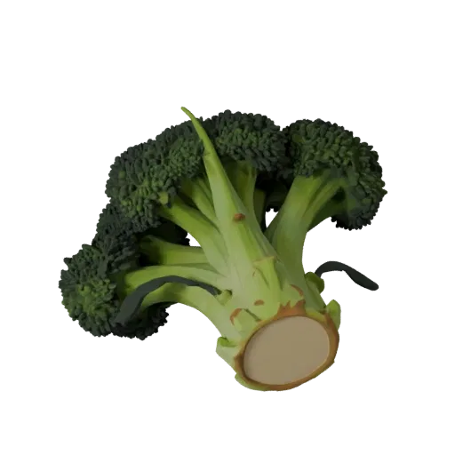 Garden Broccoli Head Stylized 3D model, stylized isometric render, showing leaf veins, clear vegetable silhouettes.
