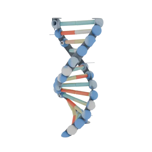 Classroom DNA Helix Education 3D model, three-quarter training render, showing colored spheres, molecule layout.