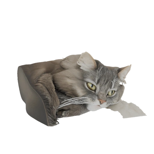 Fluffy Cat in a Box 3D Model
