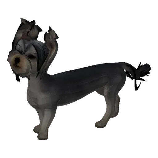 3D model of a cute Yorkshire Terrier dog with a spiky collar, standing on a neutral surface.