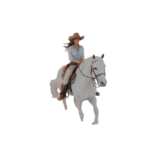 Cowgirl on Horseback