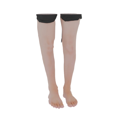 Female Legs with Black Stockings 3D Model