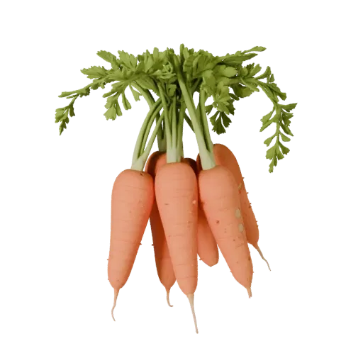 Organic Carrot Bunch Product Viz 3D model, three-quarter studio product render, showing leaf veins, form detail.