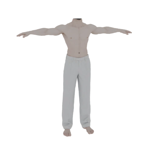 Male Torso and Trousers 3D Model