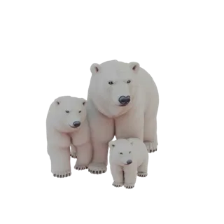 Ein 3D-Modell einer Eisbärenfamilie, mit einem großen erwachsenen Bären, der schützend über zwei kleineren Jungtieren steht,